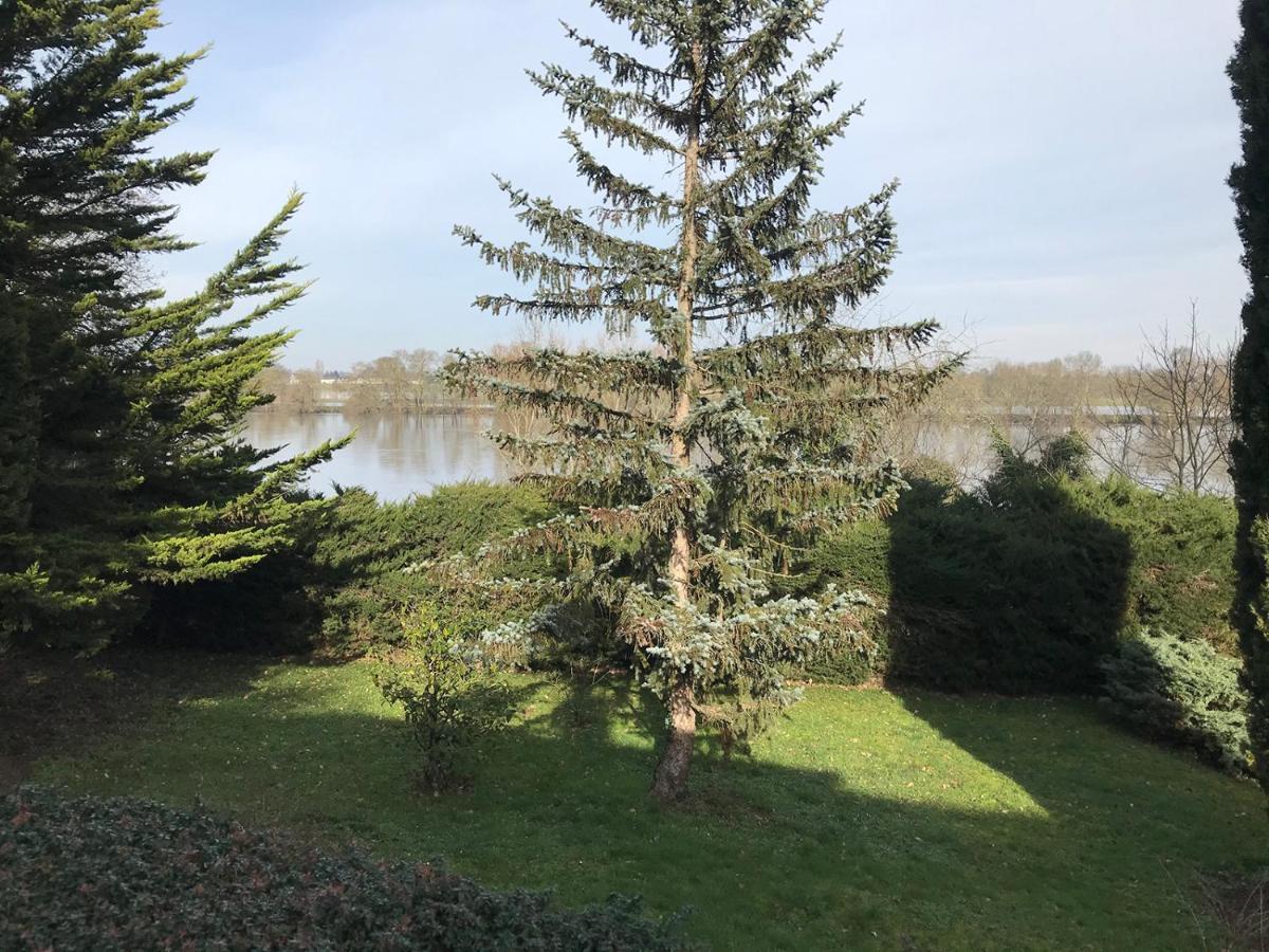 Une Nuit Sur Loire Treves-Cunault Zewnętrze zdjęcie